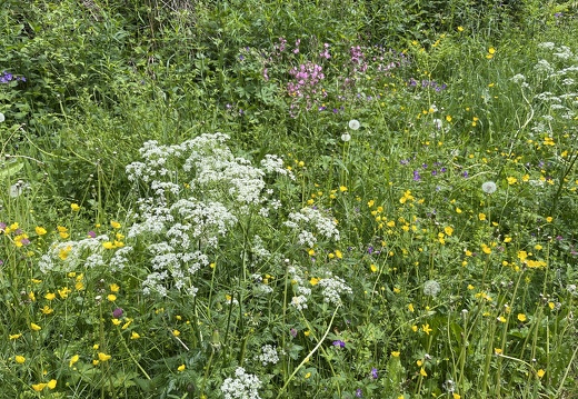 22-05-29 12-40-38 0961